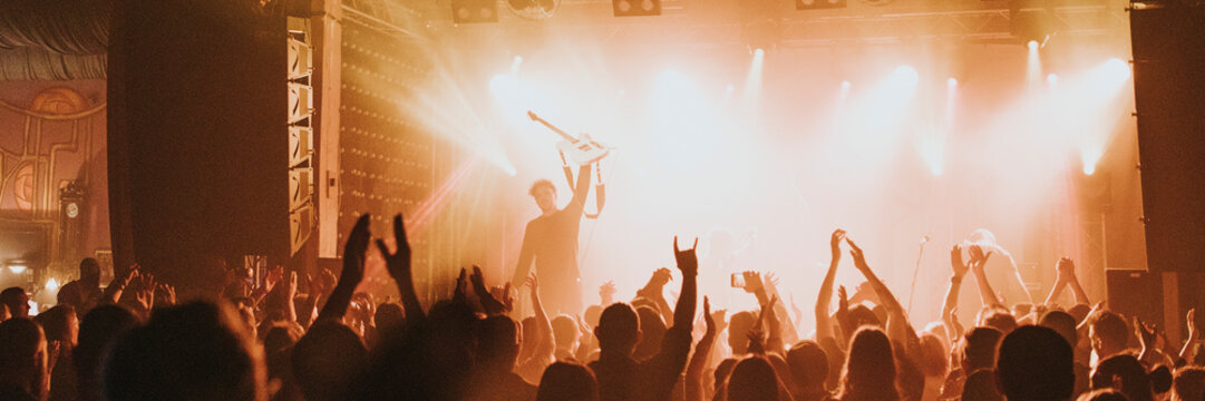 Fans Cheering In A Concert