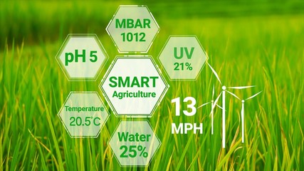 Smart digital agriculture technology by futuristic sensor data collection management by artificial...