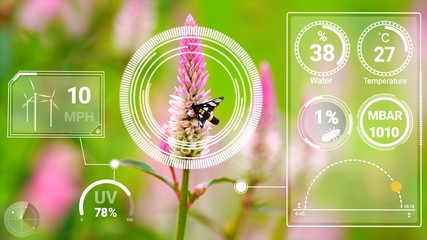 Smart digital agriculture technology by futuristic sensor data collection management by artificial intelligence to control quality of crop growth and harvest. Computer aided plantation grow concept.