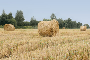 Hay on the field.