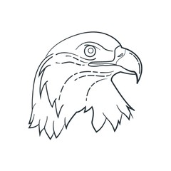 bald eagle