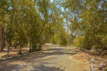 Obraz premium Beautiful village road in Jeddah, Saudi arabia