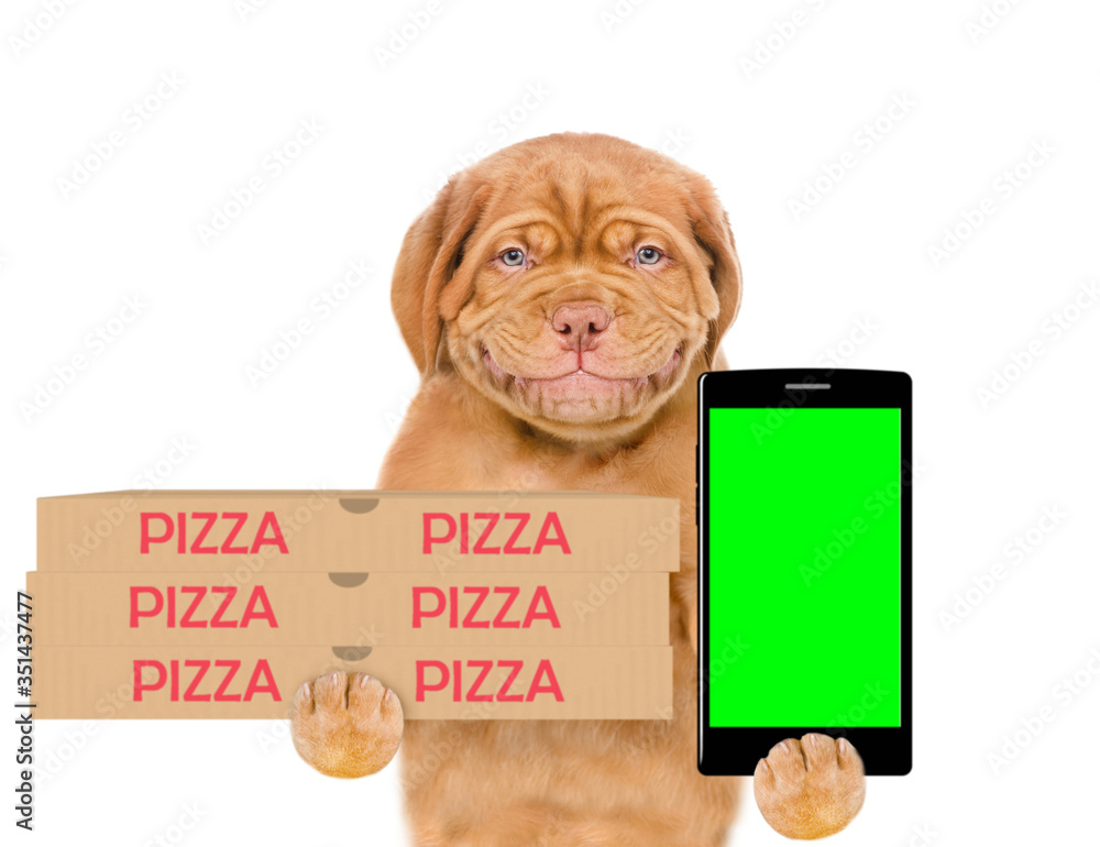 Poster Smiling pizza delivery puppy holds pizza boxes and shows empty screen of a smartphone. isolated on white background