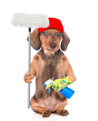 Cleaning concept. Dachshund puppy wearing red cap holds spray and mop in it paw. isolated on white background