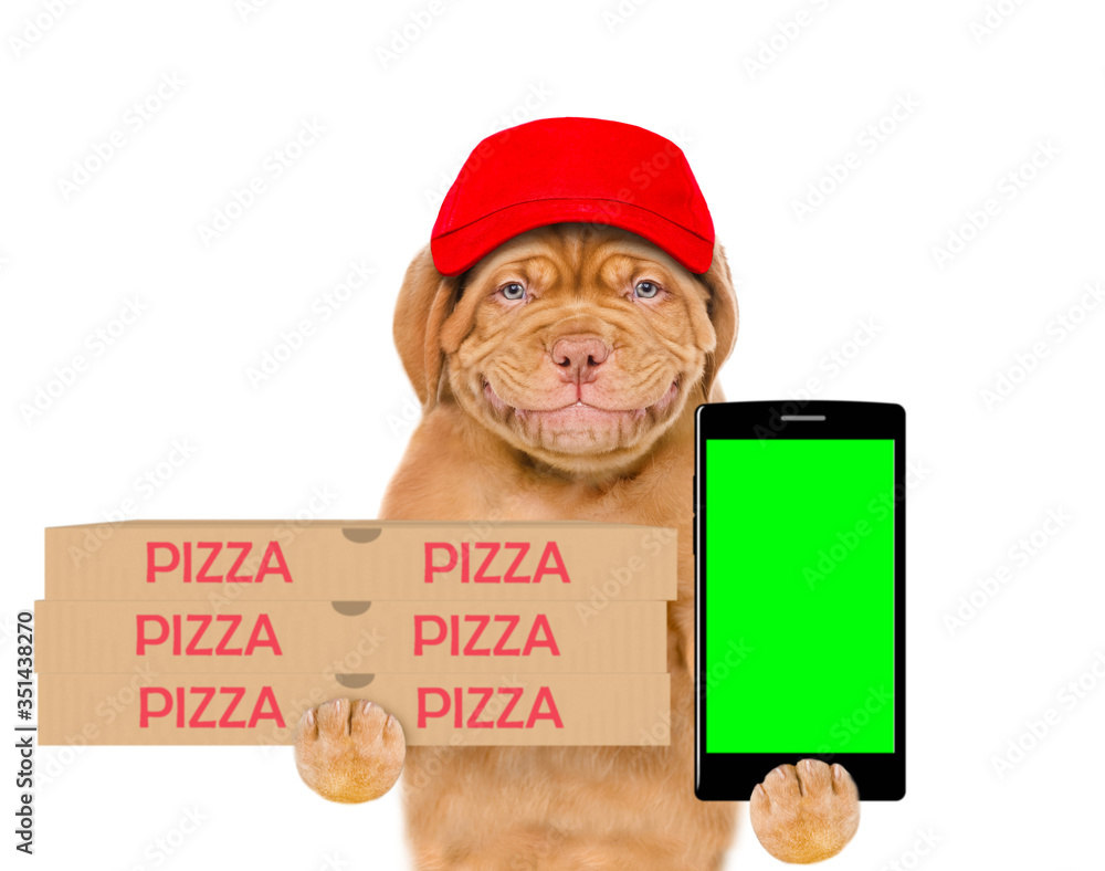Aufkleber Smiling pizza delivery dog wearing red cap holds pizza boxes and shows empty screen of a smartphone. isolated on white background