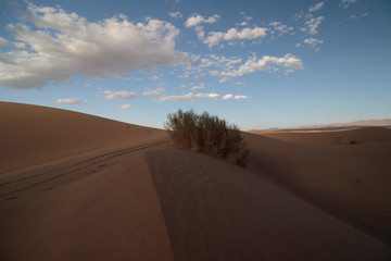 sand dunes in the desert