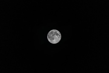 Fototapeta premium Full moon in the clear night sky