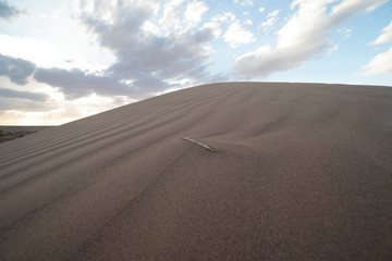 sand dunes in the desert
