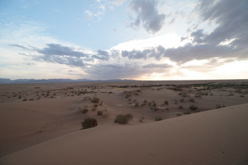 sand dunes at sunset