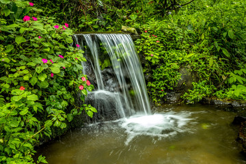 Landscape. Small waterfall cascade surrounded by tropical plants. Nature background. Water flow. Slow shutter speed.