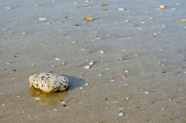 Stone On The Sand Beach and Sea Water for Natural Background.