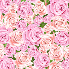 Fototapeta premium Pale pink roses floral vector design