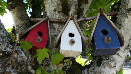 birdhouse on tree