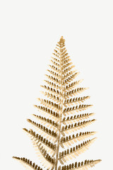 Golden leatherleaf fern plant mockup
