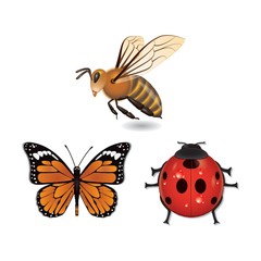 Naklejka premium set of insects