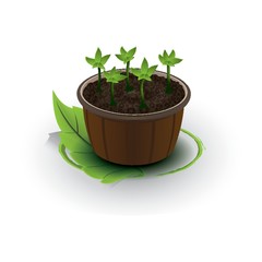 flower pot