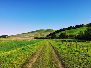 Empty green fall field in napa valley