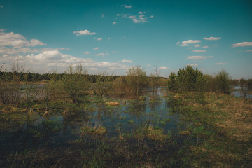 flooded water meadows in spring sunny day