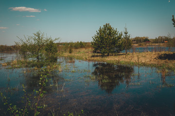 flooded water meadows in spring sunny day