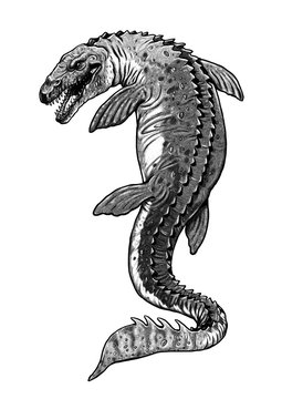 recommend clip art: Aquatic prehistoric reptile - Mosasaurus. Aquatic dinosaur.