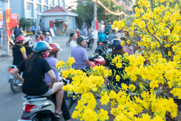 Bustle buying flowers at flower market along street, locals buy flowers for decoration house on Lunar New Year in Ho Chi Minh City, Vietnam.