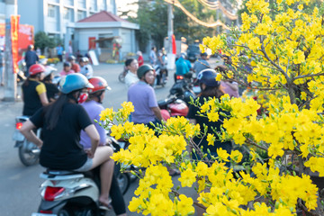 Bustle buying flowers at flower market along street, locals buy flowers for decoration house on...