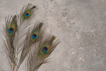 Peacock feathers on fabric texture material on grungy light gray background of natural cement or...