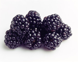 Mora  mora, fruta, baya, alimento, aislada, madura, negro, mora, bombones, salubre, fresco, blanco, close-up, mora, macro, postre, baya, jugosa, arbusto espinoso, grupo, vegetariana, naturaleza, dieta