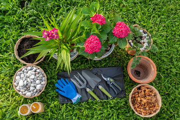 Obraz na płótnie Canvas Top view of Gardening tools