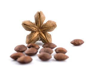 Nuts Incas , sacha inchi peanut seed an isolated on white background