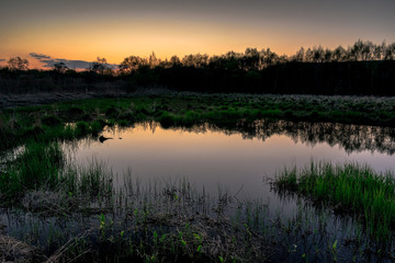Fototapeta na wymiar Sunset over a pond with young green grass and a reflective surface of the water