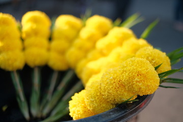 Marigold flowers arranged to pay respect to monks
