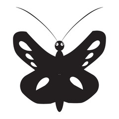 Obraz premium Butterfly