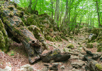 Monte Gennaro - The peak in the Monti Lucretili mountains, Lazio region, central Italy, with an...