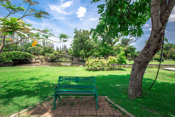 natural background of the green atmosphere in the park,with many beautifully decorated trees,plants for the public to come and relax with the family during the holidays