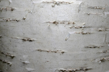 concrete wall texture