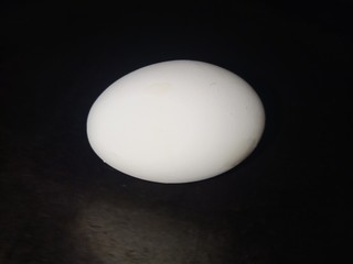 White egg of hen with black background in the night.