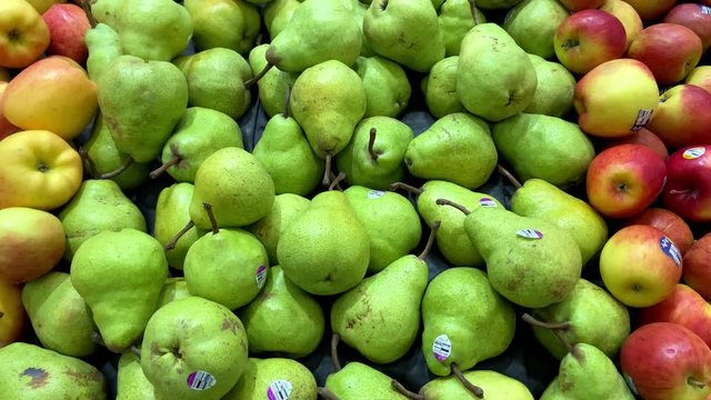 Fresh whole Green Packham Pear, ripe and juicy between the apples, close up