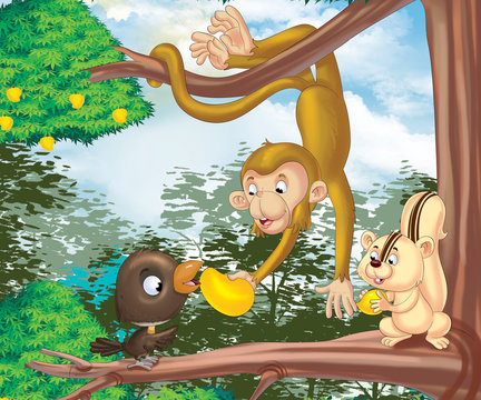 cartoon animal playing, monkey, bird, squirrel