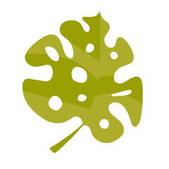 Vector leaf monstera clip art in flat style. Beautiful green tropical plant with holes in the leaves. Exotic flower for minimal flat design. Tropical flower on a white background isolated.