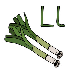 Leek word on letter L. Cartoon outline of root with leaves. Vector outline freehand drawing, sketch, vegetable, black lines, isolated white background, Visual material for the study of letters.