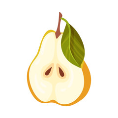 Pomaceous Halved Pear Fruit with Upper Flower Stalk and Green Fibrous Leaves Vector Illustration