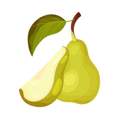 Green Pear with Cut out Segment Showing Sweet Flesh Vector Illustration