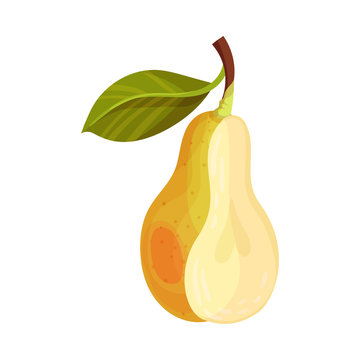 Halved Pear with Green Fibrous Leaf Showing Sweet Flesh Vector Illustration
