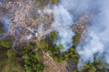 Fototapeta na wymiar Aerial view of a fire in a pine forest. Disaster filming by drone