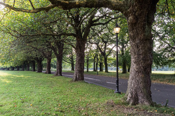 Sefton Park in Liverpool