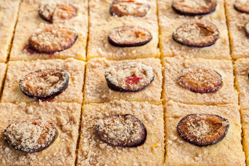 Homemade plum pie. Delicious family dessert. Home cooking