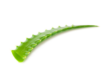 Aloe vera isolated on a white background