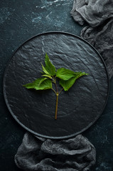 Obraz na płótnie Canvas Green nettles on a plate. Healthy herbs. Top view.