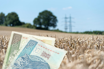 Geld Polnische Zloty PLN und Landwirtschaft in Polen - obrazy, fototapety, plakaty